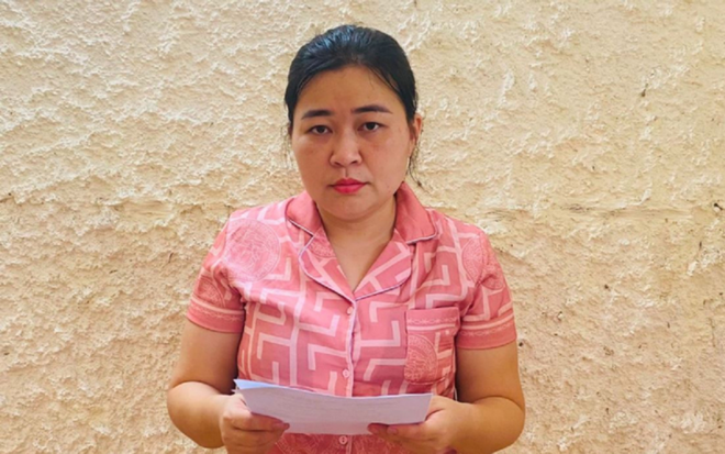 Hà Tĩnh: Khởi tố và bắt tạm giam đối tượng lừa đảo chiếm đoạt tài sản ảnh 1