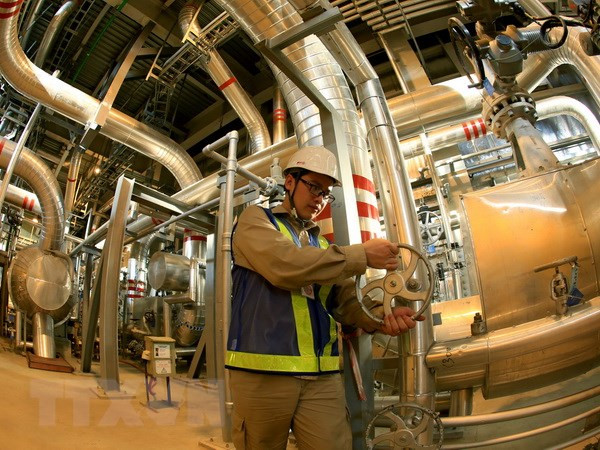 Việt Nam và Hoa Kỳ thúc đẩy hợp tác trong lĩnh vực điện khí ảnh 1