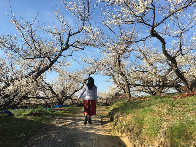 Bỏ túi 4 ‘bí kíp’ để có những chuyến du lịch như ý ảnh 1