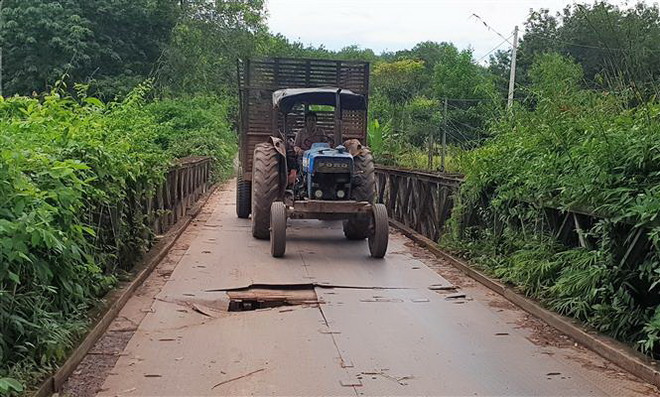 ttxvn_cau long 2.jpg