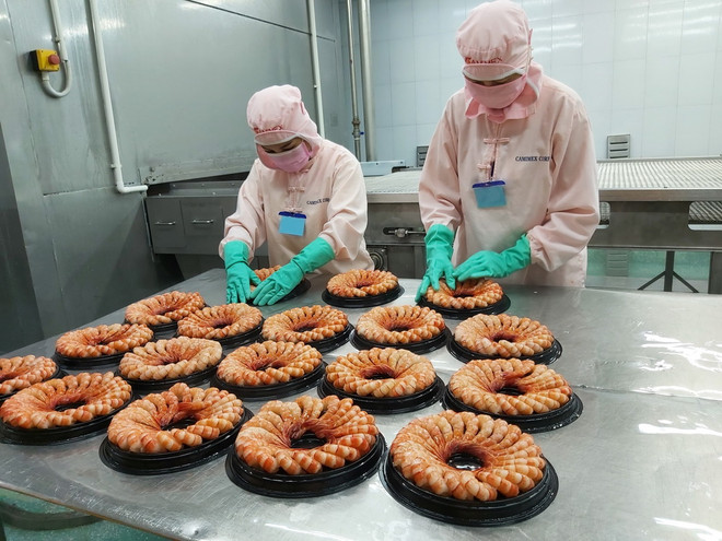 Chế biến tôm xuất khẩu. (Nguồn: TTXVN) Hiệp định thương mại tự do Việt Nam-EU: Doanh nghiệp kỳ vọng bứt phá ảnh 2