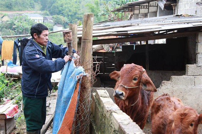 Miền Bắc rét đậm, vùng núi cao khả năng có mưa tuyết, băng giá ảnh 1
