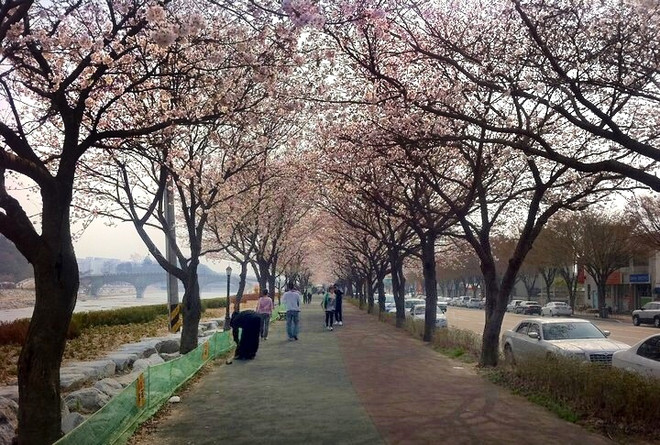 Đơn giản hóa thủ tục cho du khách "VIP" Việt Nam tới Hàn Quốc ảnh 1