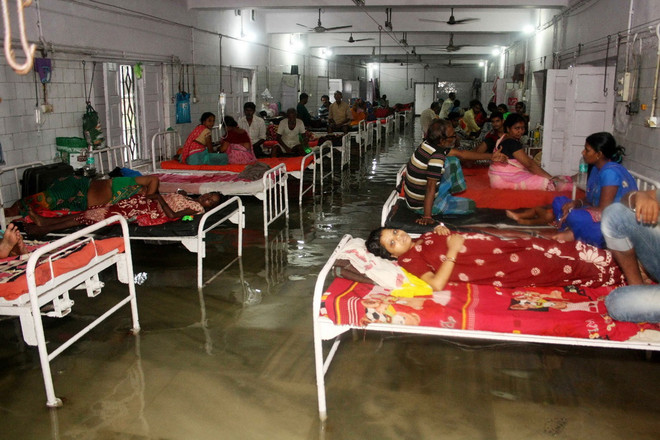 Chủ tịch nước gửi điện thăm hỏi về tình hình trận lụt ở Ấn Độ ảnh 1