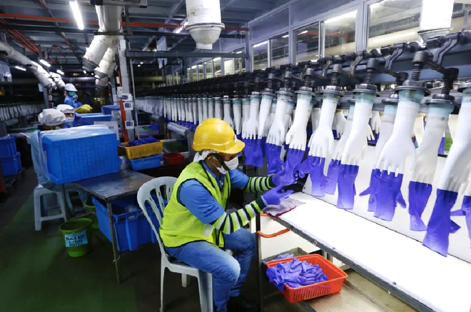 Top Glove bị cáo buộc khiến hàng nghìn lao động bị lây nhiễm COVID-19 ảnh 1
