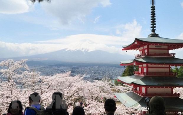 Tạm gác nỗi lo dịch bệnh, người dân Tokyo đổ xô đi ngắm hoa anh đào ảnh 1