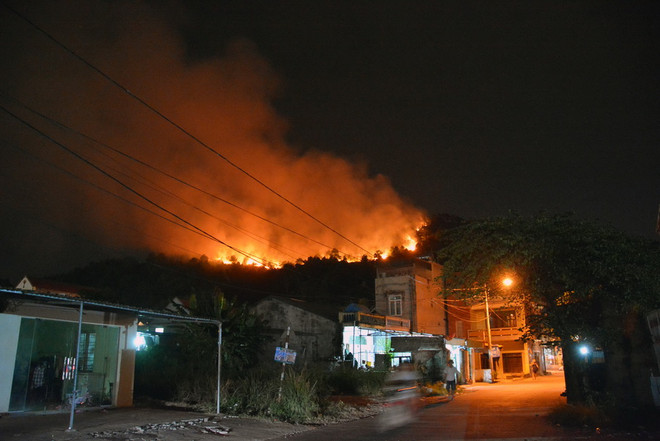 Cháy hơn 5ha rừng thông ở Quảng Ninh có thể do người dân... đốt rác ảnh 1