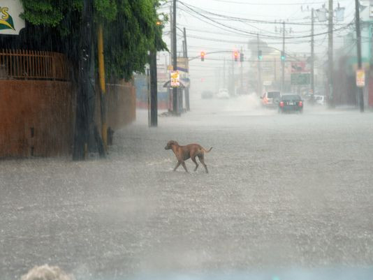 Cơn bão mạnh nhất khu vực Đại Tây Dương đổ bộ vào Cuba ảnh 1