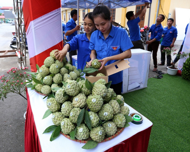 Hàng chục nghìn du khách đến với Ngày hội na Chi Lăng năm 2018 ảnh 1