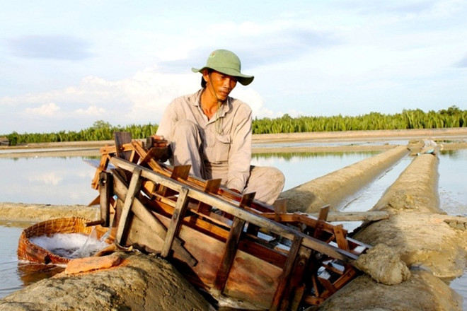 Thành phố Hồ Chí Minh: Thủ tướng công nhận Thạnh An là xã đảo ảnh 1