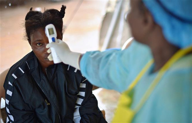 Nhân viên y tế kiểm tra thân nhiệt bệnh nhân nghi nhiễm virus Ebola tại Kenema, Guinea, ngày 16/8/2014. (Ảnh: AFP/TTXVN) Dịch bệnh Ebola bùng phát tại Guinea, đã có 4 trường hợp tử vong ảnh 1