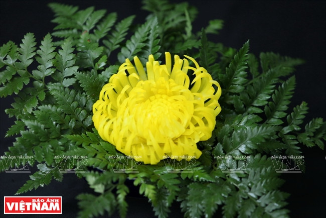 Rực rỡ, tinh xảo những đóa hoa được làm từ quả đu đủ xanh ảnh 10