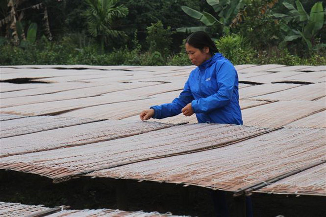 Làng nghề miến đao Giới Phiên tất bật phục vụ thị trường Tết ảnh 1