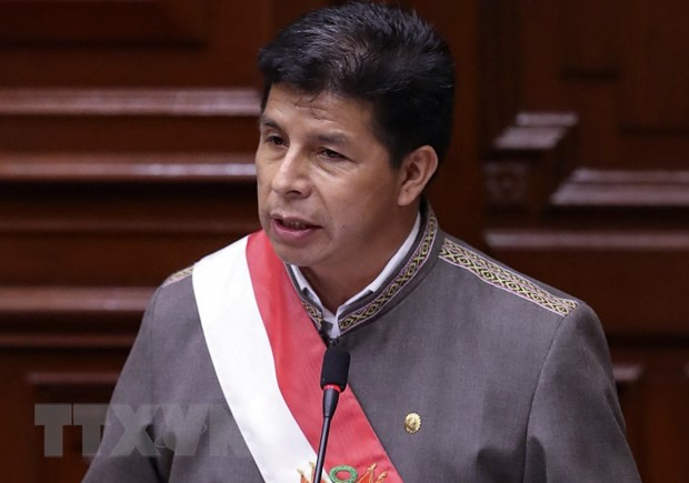 Tổng thống Peru Pedro Castillo bổ nhiệm tân Bộ trưởng Tài chính ảnh 1