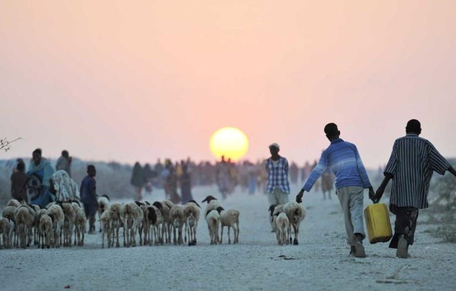 Mất an ninh lương thực đe dọa 80 triệu người ở khu vực Sừng châu Phi ảnh 1