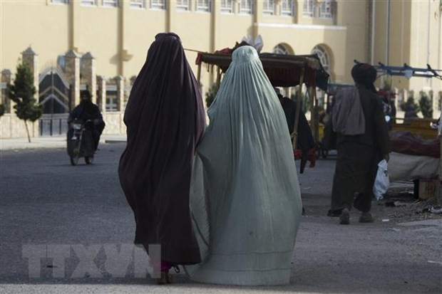 EU lo ngại tình hình ngày càng xấu đi của phụ nữ và bé gái Afghanistan ảnh 1