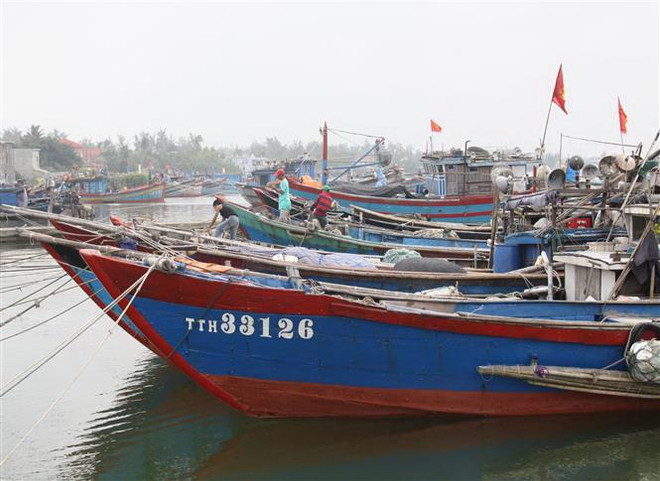 Thừa Thiên-Huế kêu gọi tàu thuyền về nơi tránh trú an toàn ảnh 1