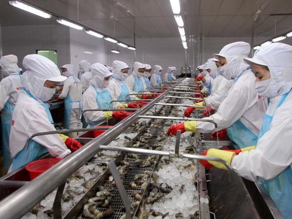 Cà Mau nỗ lực cải thiện chỉ số năng lực cạnh tranh cấp tỉnh ảnh 1