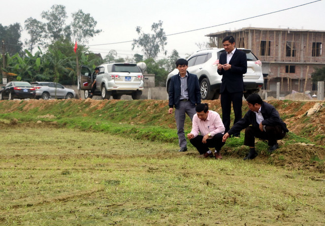 Ông Nguyễn Xuân Đường, Phó Bí thư Tỉnh ủy, Chủ tịch Ủy ban Nhân dân tỉnh cùng các lãnh đạo tỉnh kiểm tra đồng ruộng sáng mùng 4 Tết. (Ảnh: Tá Chuyên/Vietnam+) Lãnh đạo Nghệ An xuống đồng kiểm tra sản xuất vụ Xuân trong dịp Tết ảnh 1