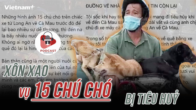 [Audio] Xôn xao vụ 15 chú chó của hai vợ chồng ở Cà Mau bị thiêu hủy ảnh 1