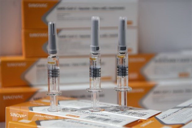 Singapore bổ sung vaccine của hãng Sinovac vào chương trình tiêm chủng ảnh 1