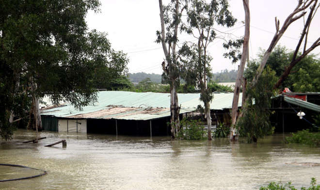 Quảng Ngãi: Mưa trắng trời, hàng nghìn nhà dân bị ngập sâu trong nước ảnh 1