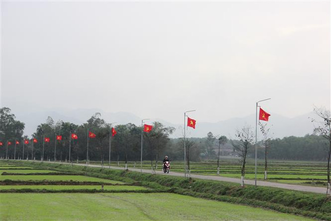 Màu xanh mới hồi sinh nơi vùng rốn lũ Cẩm Xuyên. (Ảnh: Hoàng Ngà/TTXVN) Mùa Xuân mới của những người dân ở vùng 'rốn lũ' Hà Tĩnh ảnh 1
