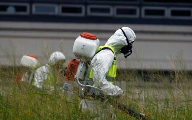 Triều Tiên kiểm soát chặt du khách và hàng hóa để phòng virus Zika ảnh 1