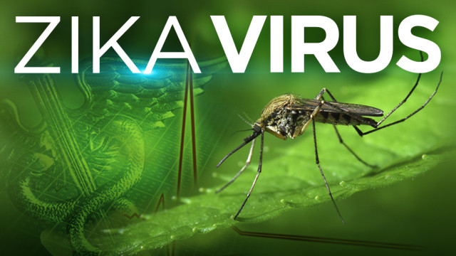 [News Game] Tìm hiểu về virus Zika - cơn ác mộng với phụ nữ mang thai ảnh 1