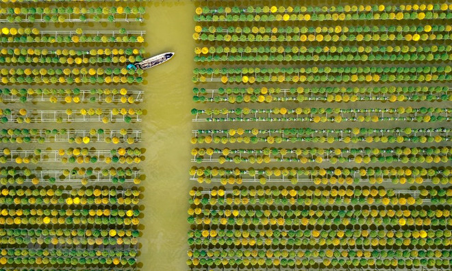 Đẩy mạnh chuyển đổi số gắn với sản phẩm du lịch đặc thù ảnh 2