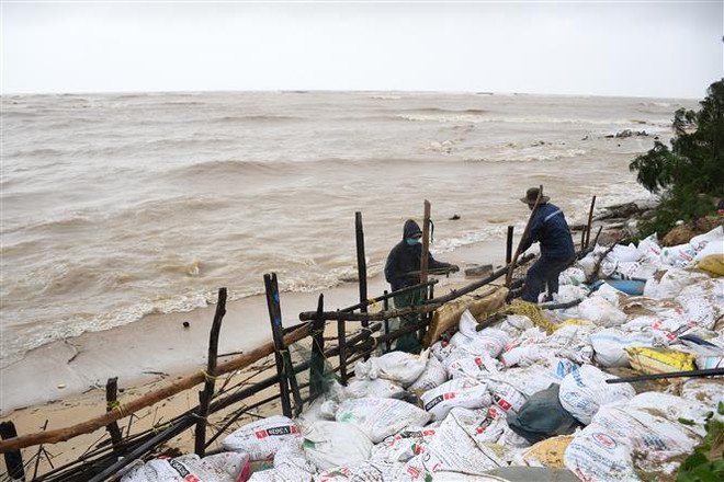 Quảng Ngãi: Triều cường gây sạt lở hàng trăm mét bờ biển ở xã Nghĩa An ảnh 1