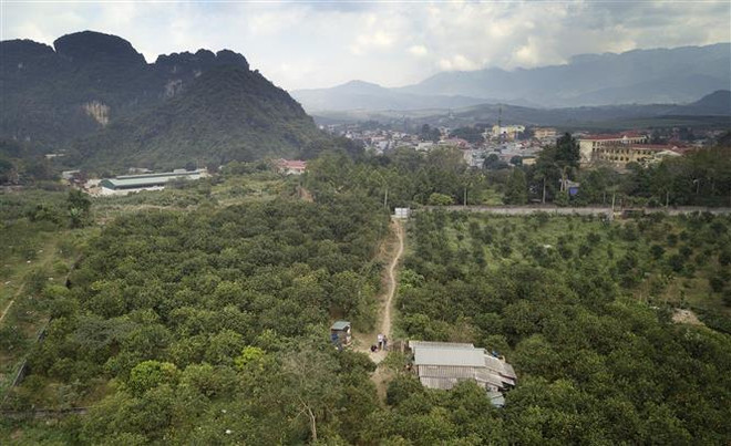 Thực hiện mục tiêu kép, Hòa Bình đạt nhiều chỉ tiêu kinh tế-xã hội ảnh 2