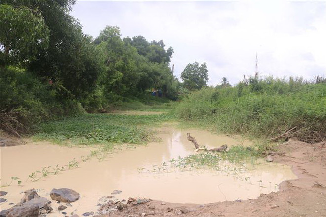 Bà Rịa-Vũng Tàu xử phạt công ty nhiều lần gây ô nhiễm môi trường ảnh 1