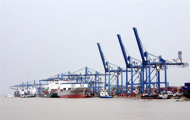 Hoạt động xếp dỡ hàng hóa tại cảng Cát Lái, Thành phố Hồ Chí Minh. (Ảnh: Đỗ Ngọc Giang/TTXVN) Giải quyết ùn ứ tại cảng Cát Lái: Không để đứt gãy chuỗi sản xuất ảnh 1
