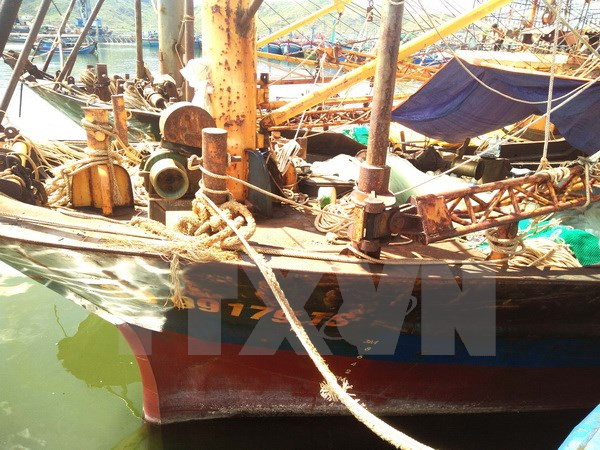 Tiếp tục lấy 10 mẫu vỏ thép của tàu cá Bình Định để kiểm định ảnh 1