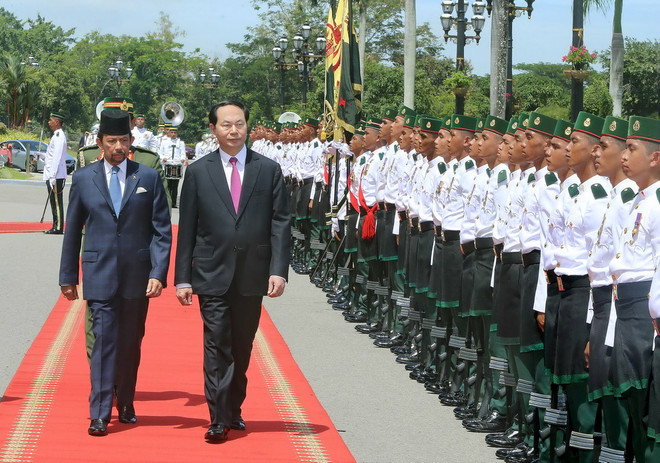 Việt Nam-Brunei quyết tâm phát triển quan hệ cả bề rộng lẫn chiều sâu ảnh 1