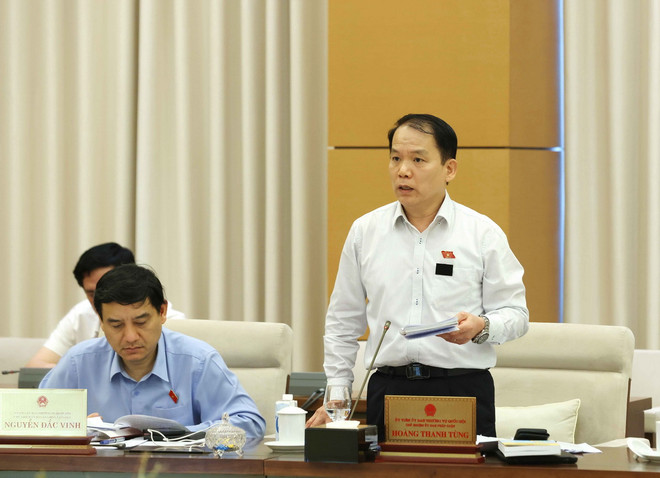 Chủ nhiệm Ủy ban Pháp luật của Quốc hội Hoàng Thanh Tùng phát biểu. (Ảnh: Phương Hoa/TTXVN) ttxvn_thuong vu quoc hoi 2.jpg