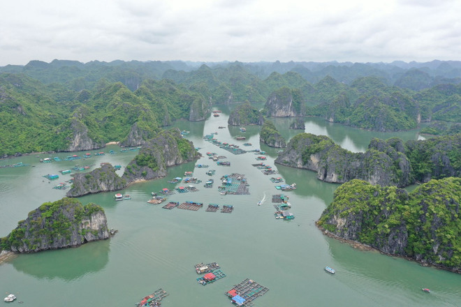 Hoàn thiện hồ sơ đề cử Vịnh Hạ Long-Quần đảo Cát Bà là Di sản Thế giới ảnh 1