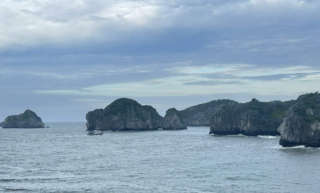 Hoàn thiện hồ sơ đề cử Vịnh Hạ Long-Quần đảo Cát Bà là Di sản Thế giới ảnh 2