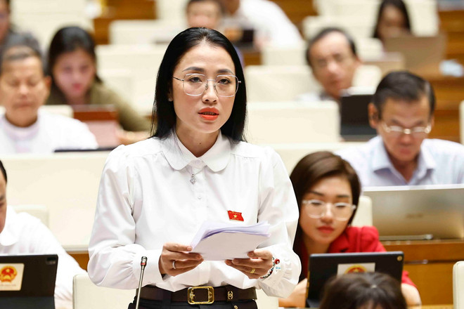 ttxvn_hop quoc hoi 4.jpg