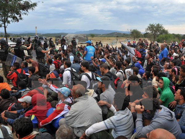 Việt Nam quan tâm đến diễn biến về người di cư ở châu Âu ảnh 1