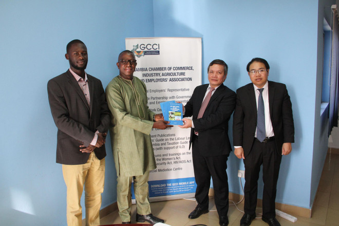 Việt Nam-Gambia tăng cường phát triển hợp tác kinh tế, thương mại ảnh 1