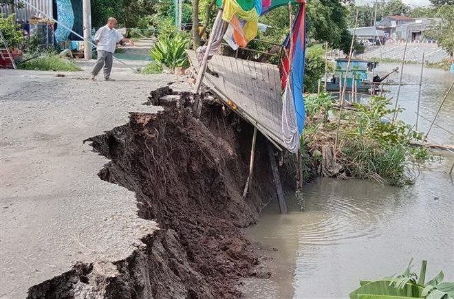 Kênh 10 Châu Phú bị sạt lở 30m. (Ảnh: TTXVN phát) An Giang: Kênh 10 Châu Phú bị sạt lở 30m, ăn sâu vào mặt đường ảnh 1