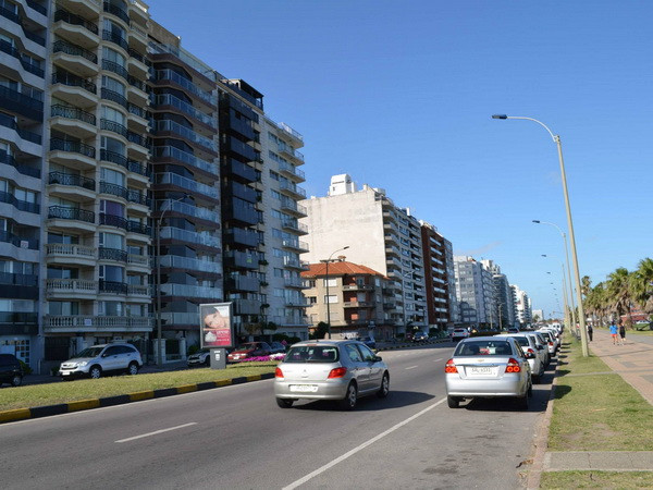 Uruguay có tỷ lệ người trung lưu cao nhất khu vực Mỹ Latinh ảnh 1