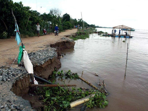 Hà Nội: Hơn 1.000m bờ tả sông Đáy bị sạt lở nghiêm trọng ảnh 1