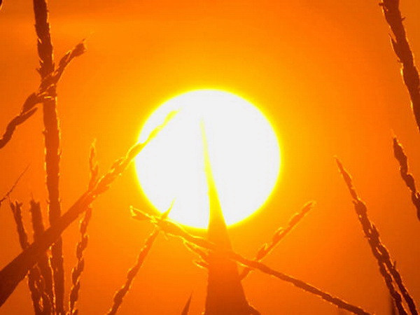 Phát hiện những phân tử giúp đo hoạt động ở lõi Mặt Trời ảnh 1