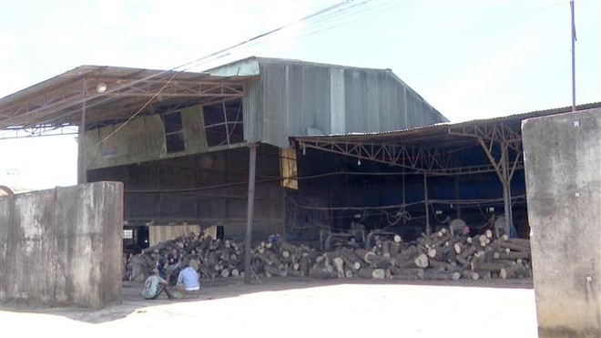 Gia Lai: Người dân bức xúc vì ô nhiễm, chính quyền thờ ơ ảnh 1