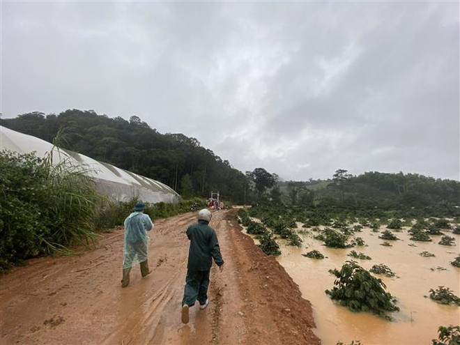 Vụ du khách bị lũ cuốn trôi tại Lâm Đồng: Tìm thấy một thi thể ảnh 1