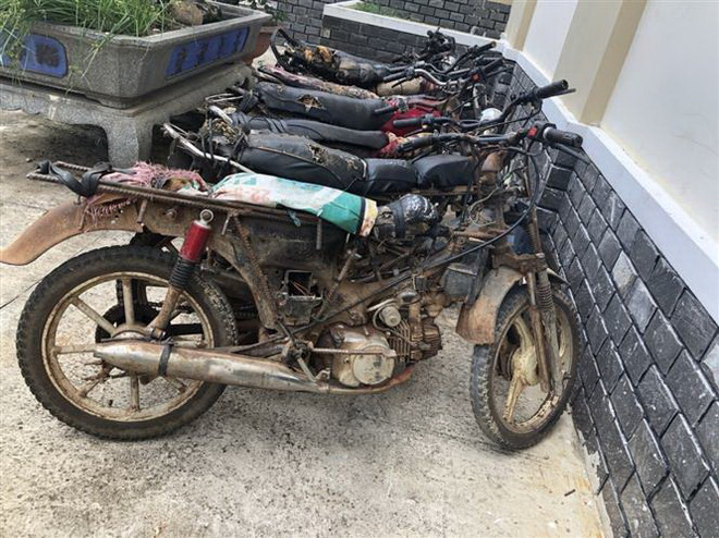 Khởi tố 7 bị can trong vụ hạ cây cổ thụ tại Khu bảo tồn Kon Chư Răng ảnh 1