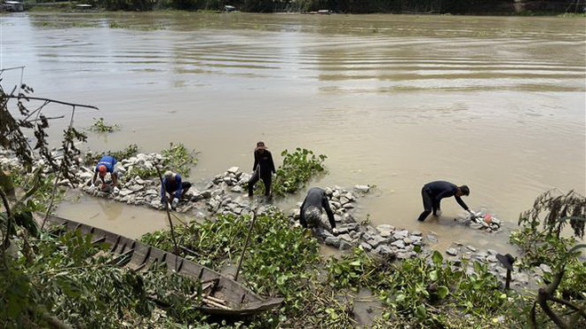 An Giang cần 397 tỷ đồng cho 3 dự án phòng, chống sạt lở khẩn cấp ảnh 2